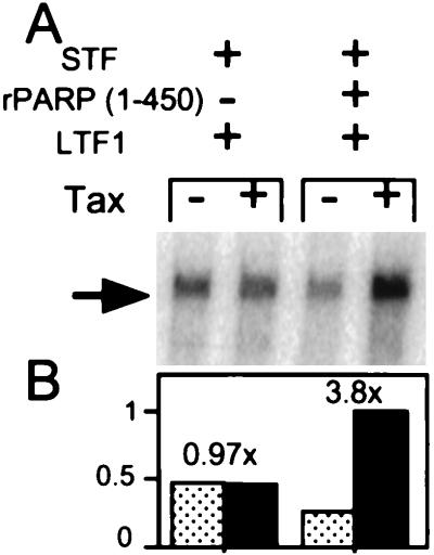 FIG. 8