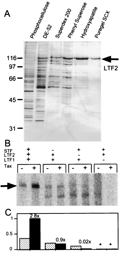 FIG. 6