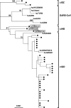 FIG. 1.