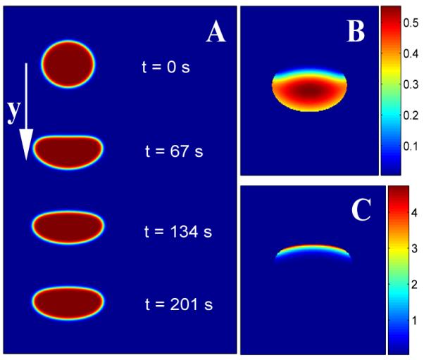 FIG. 1