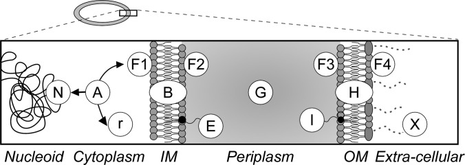 Fig. 1.