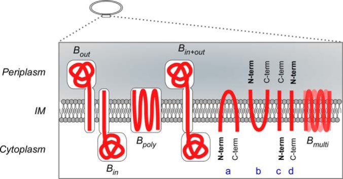 Fig. 5.