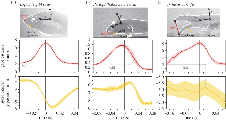 Figure 3.