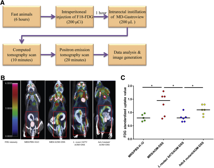 Figure 4