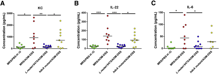 Figure 6