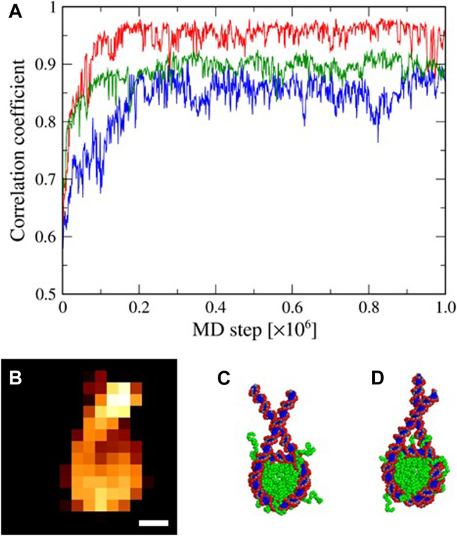 FIGURE 3