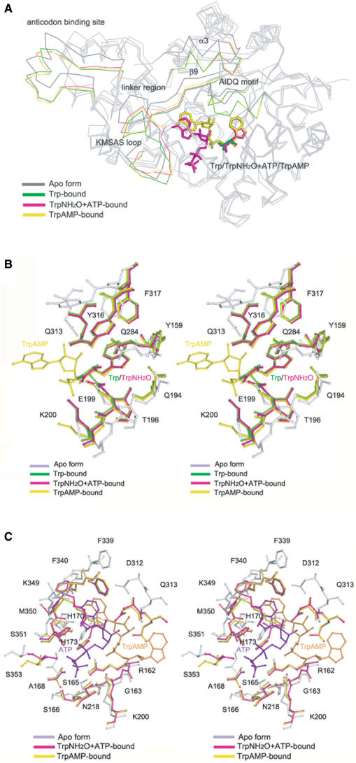 Figure 2.