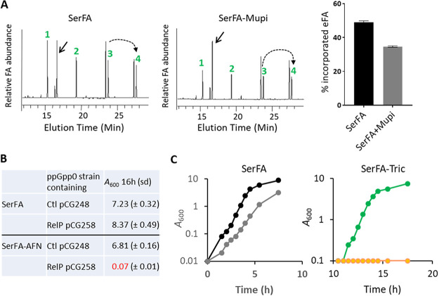 FIG 6