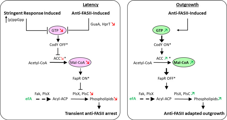 FIG 7