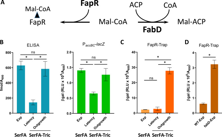 FIG 3