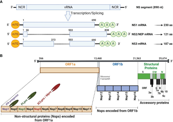 Figure 1