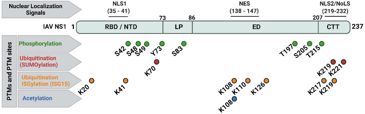 Figure 3