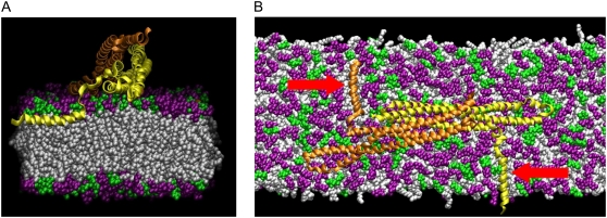 FIGURE 4