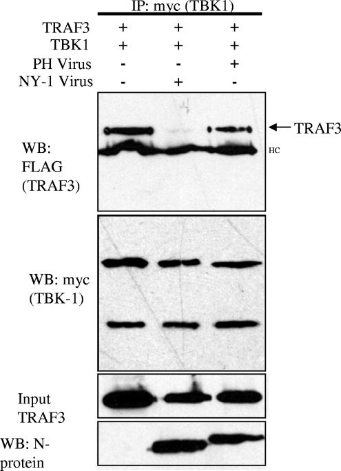 FIG. 5.