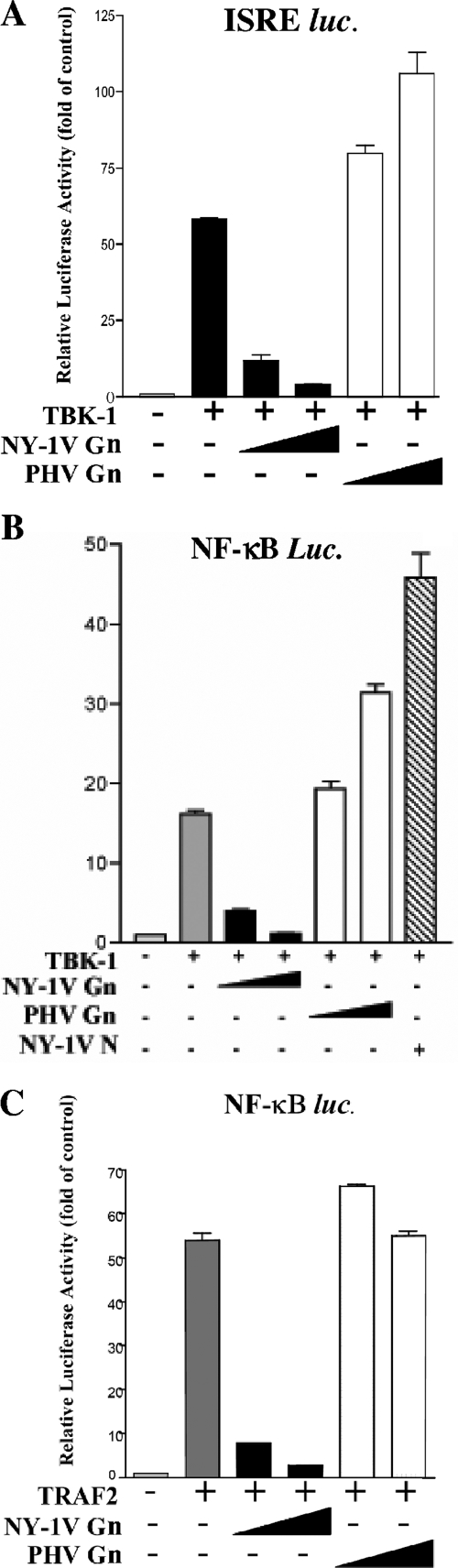 FIG. 1.