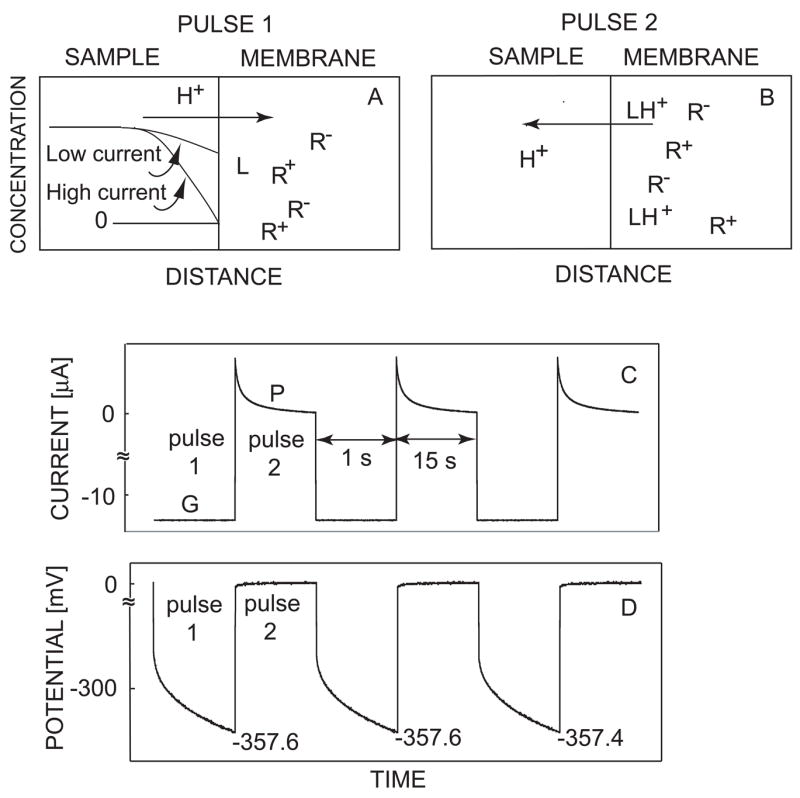 Fig. 1