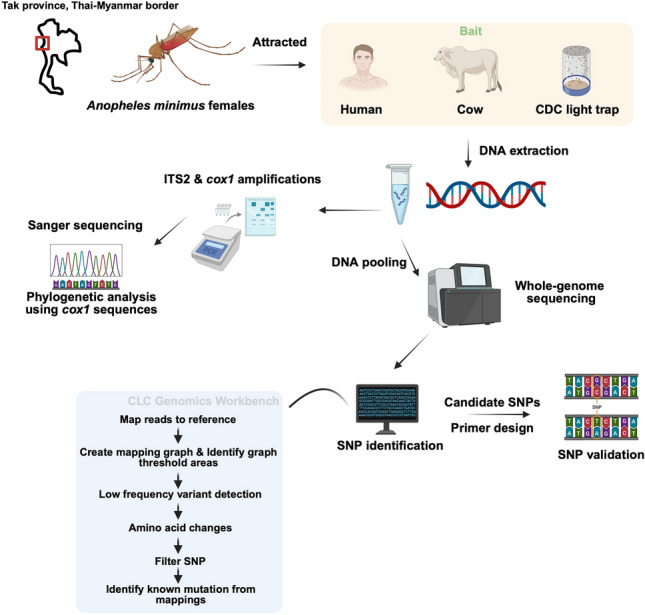 graphic file with name 13071_2025_7029_Figa_HTML.jpg