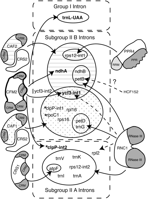 Figure 8.