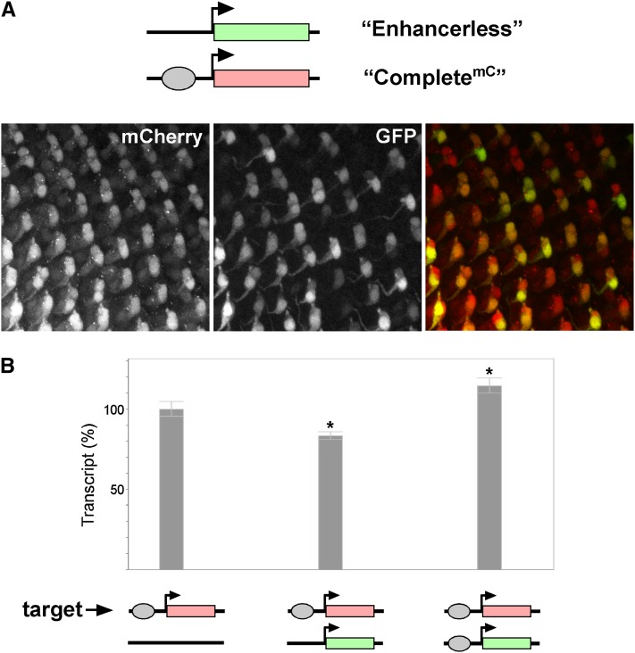 Figure 6 