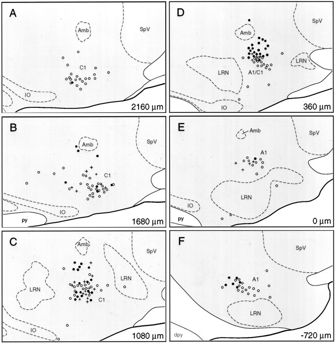 Fig. 8.