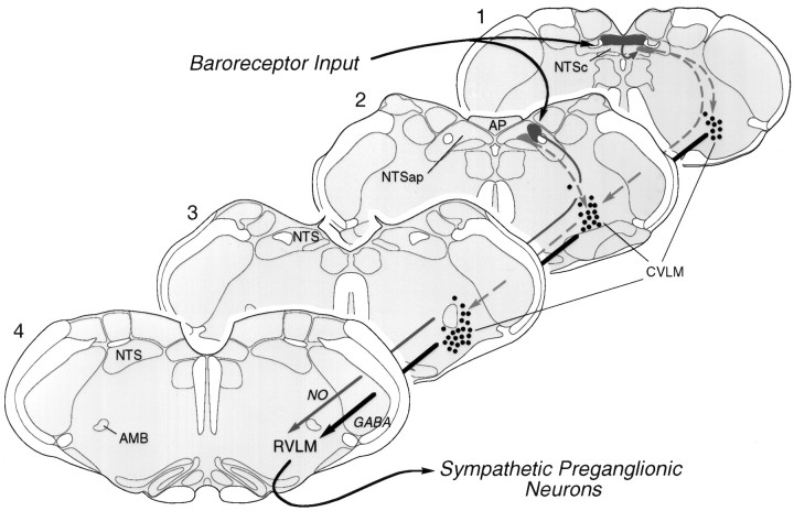 Fig. 9.