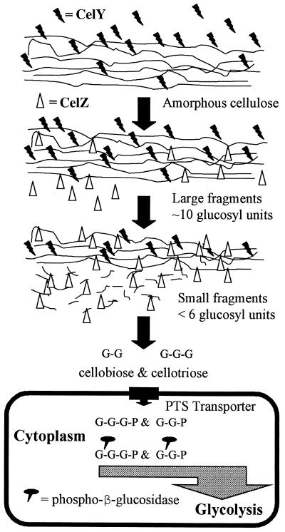 FIG. 4