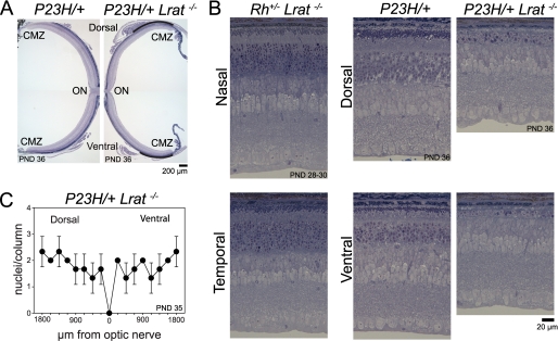 FIGURE 10.