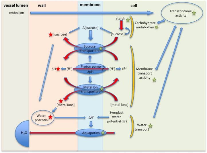 Figure 6.