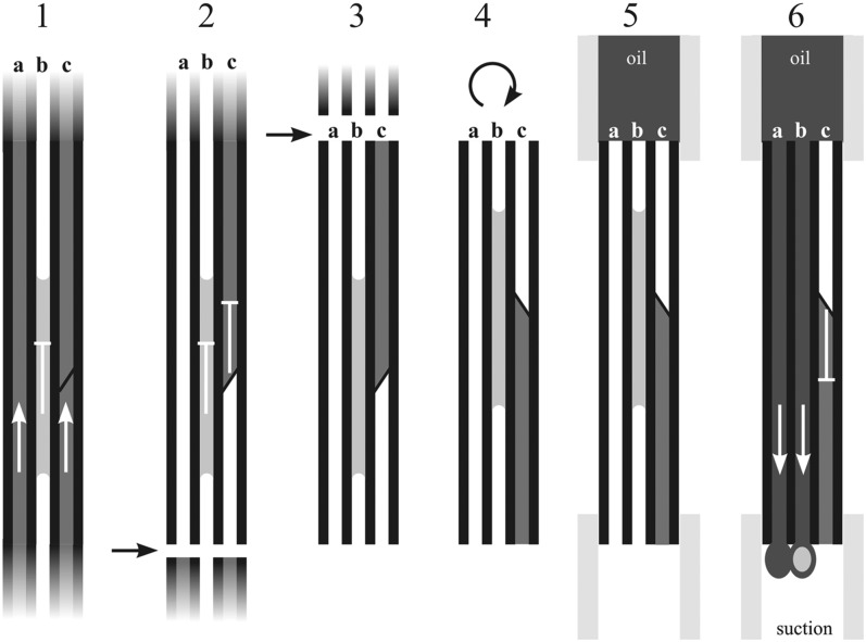 Figure 7.