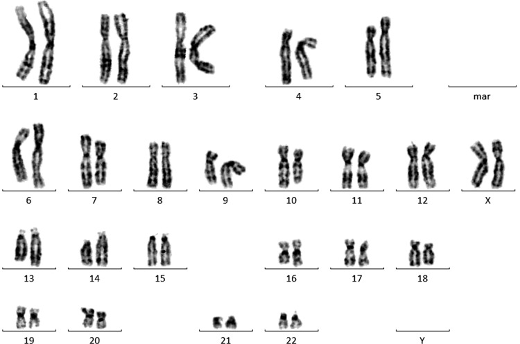 FIG. 3.