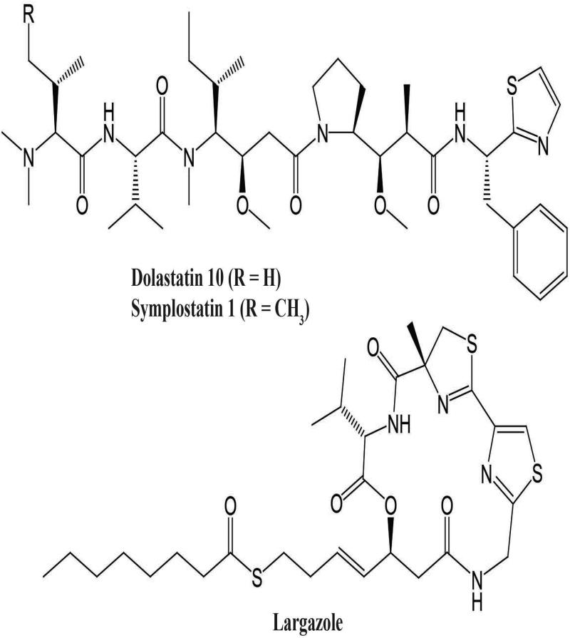 Fig. 5