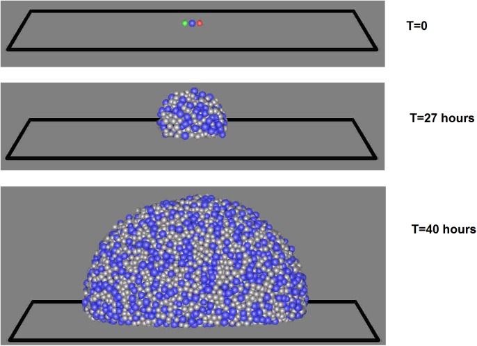 Fig 3