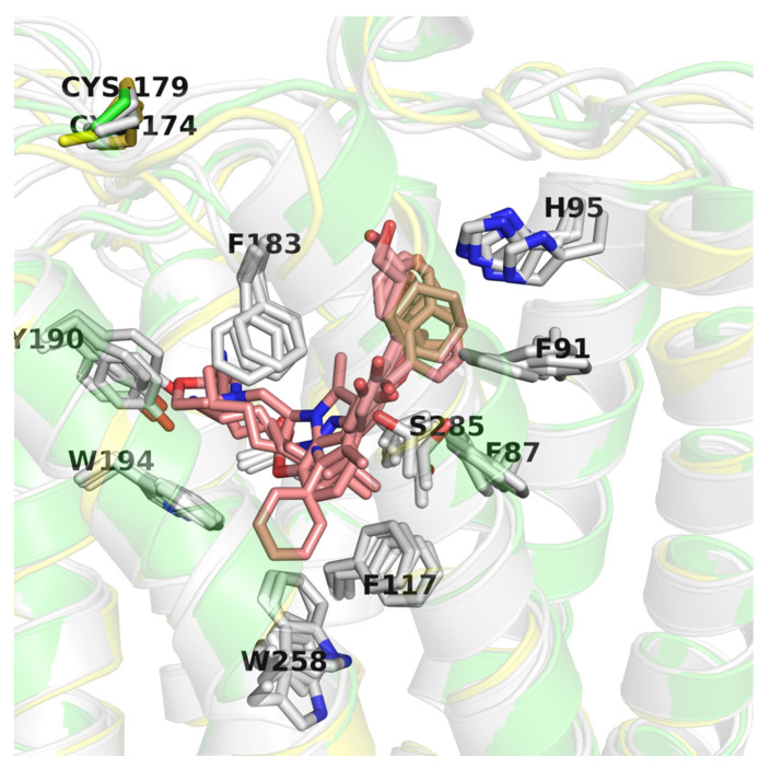 Figure 7