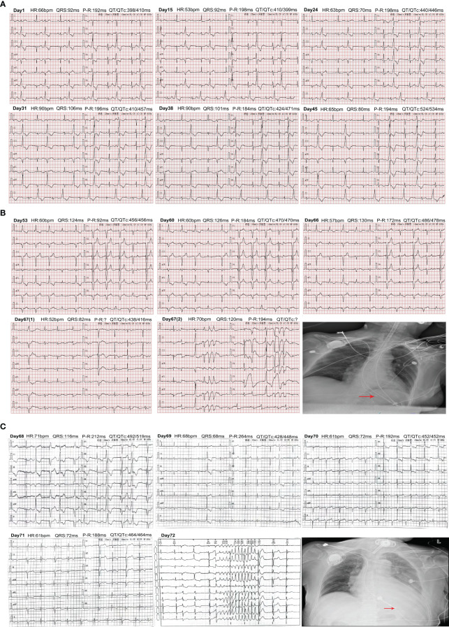 Figure 2