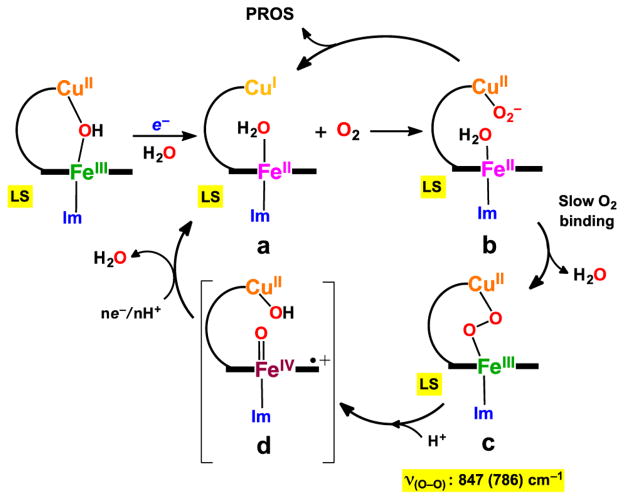 Scheme 2