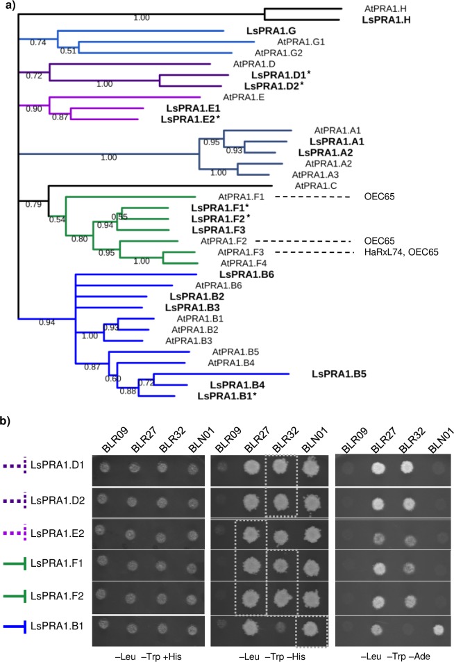 Fig 2