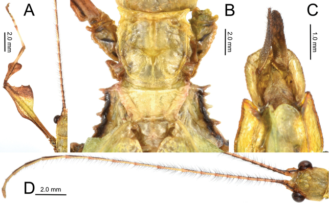 Figure 19.