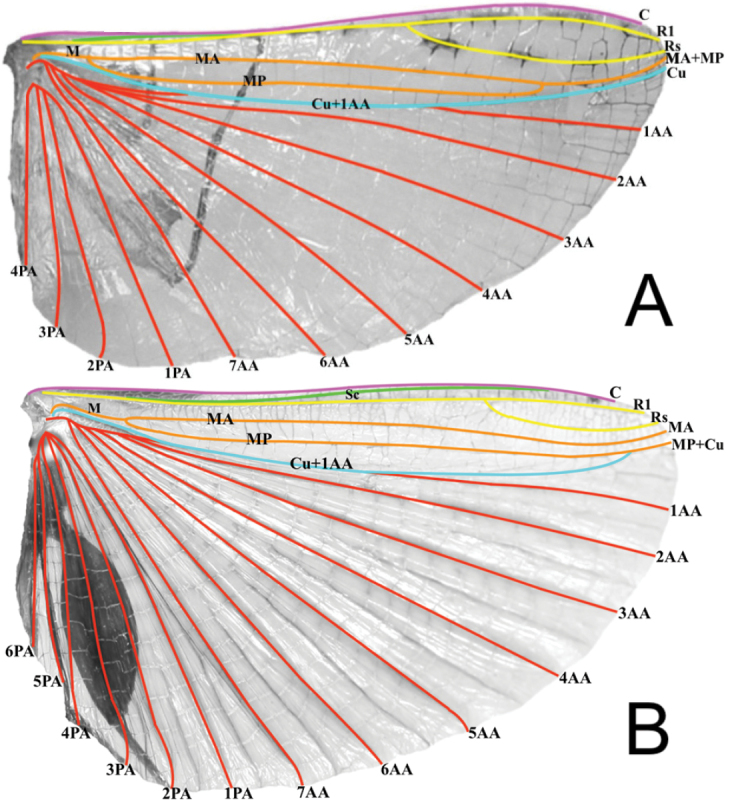 Figure 13.