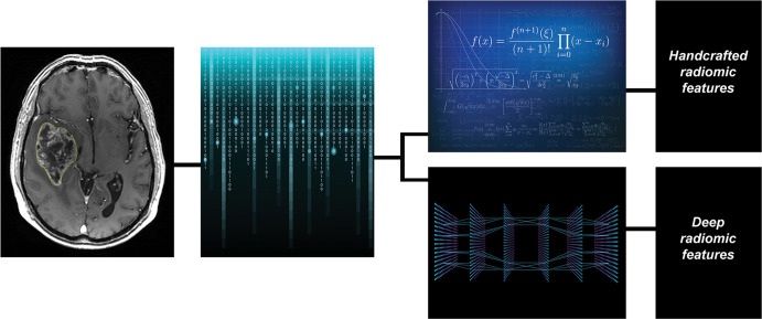 Texture or radiomic feature extraction: handcrafted feature versus deep features. During the process of texture or radiomic analysis, quantitative imaging features are extracted with the potential to serve as quantitative biomarkers that can be used to predict a clinical or molecular end point of interest. Broadly, traditional radiomic features may be defined as those derived using clearly defined or explicit mathematical formulas designed by experts, often independently and prior to the experiment, which may in turn be referred to as handcrafted or hand-engineered features. In contradistinction, features extracted based on image analysis with deep learning approaches, such as convolutional neural networks, are not clearly definable or derived using expert-designed explicit mathematical formulas. Instead, they are learned from data through a learning algorithm. These may be referred to as deep (extracted) features and the process as “deep radiomics.”