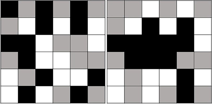 Texture or radiomic analysis for extraction of quantitative features reflecting higher-order pixel positions and relationships. Simplified diagram demonstrates two squares containing an identical number of white, gray, and black pixels. Using basic first-order statistical quantitative parameters, such as average or standard deviation, frequently used in traditional region of interest analysis, the boxes would have identical values, even though on visual inspection the patterns are clearly different. The objective of computerized image analysis approaches like texture or radiomic analysis is to extract quantitative parameters or features that capture the more complex, higher-order characteristics, such as those reflecting pixel positions and relationships.