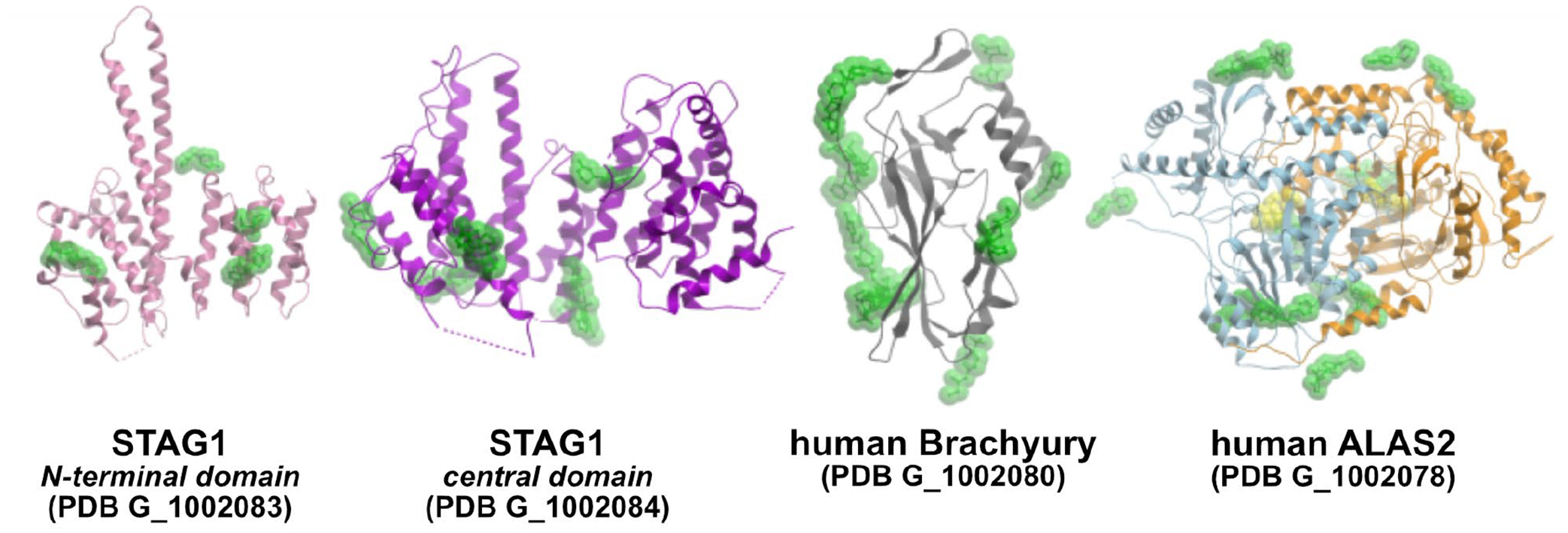 Figure 3.