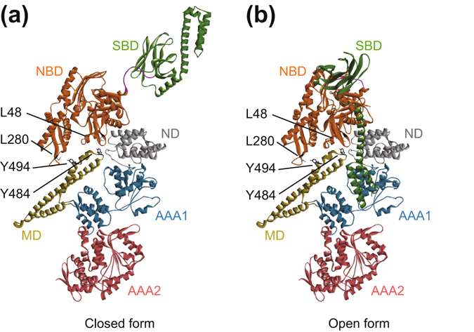 Figure 6