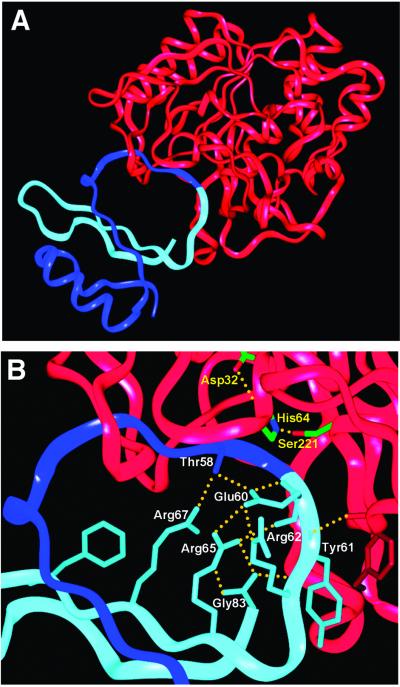 Fig 3.