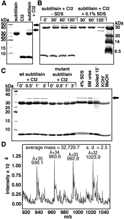 Fig 2.