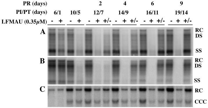 FIG. 7.