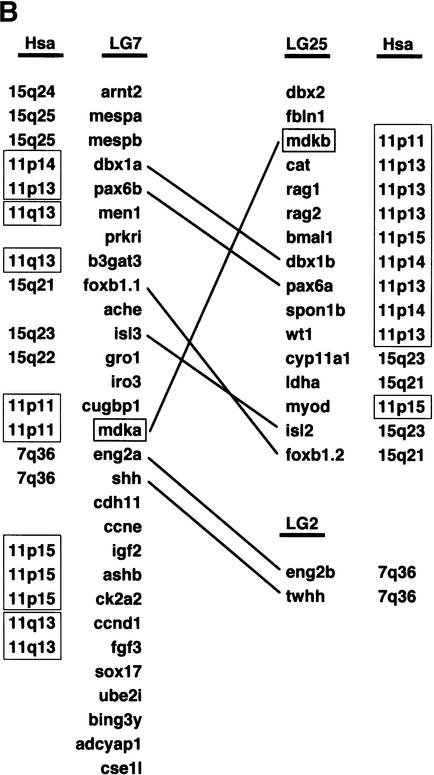 Figure 2A