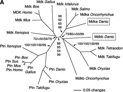 Figure 2A