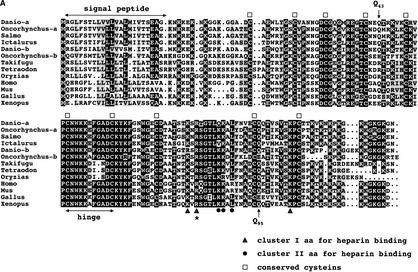 Figure 1A