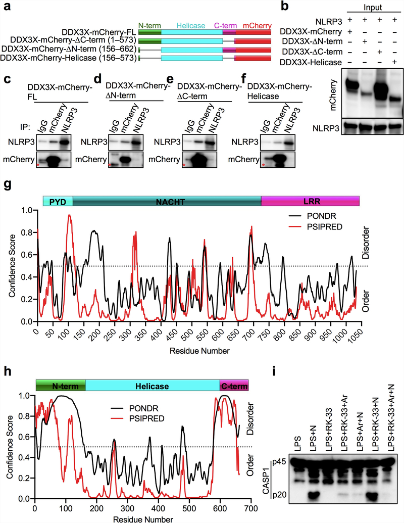 Extended Data Fig. 8 |