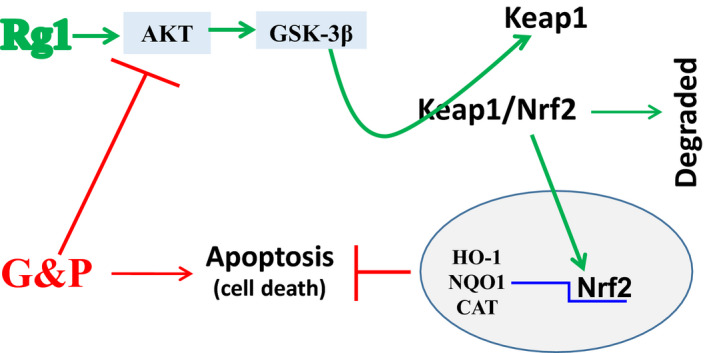 Figure 7